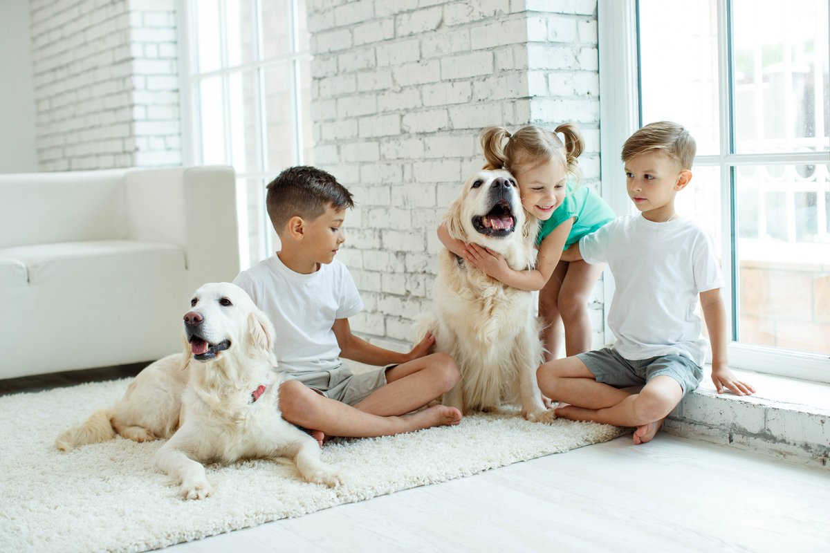 morning_bagel's tweet photo. Favorite Pet Continues to Pull Away in Rankings; Family Prepares for Tough Annual Review with Chester. https://t.co/7W3JgyHhCO https://t.co/g8X7rgulQ7