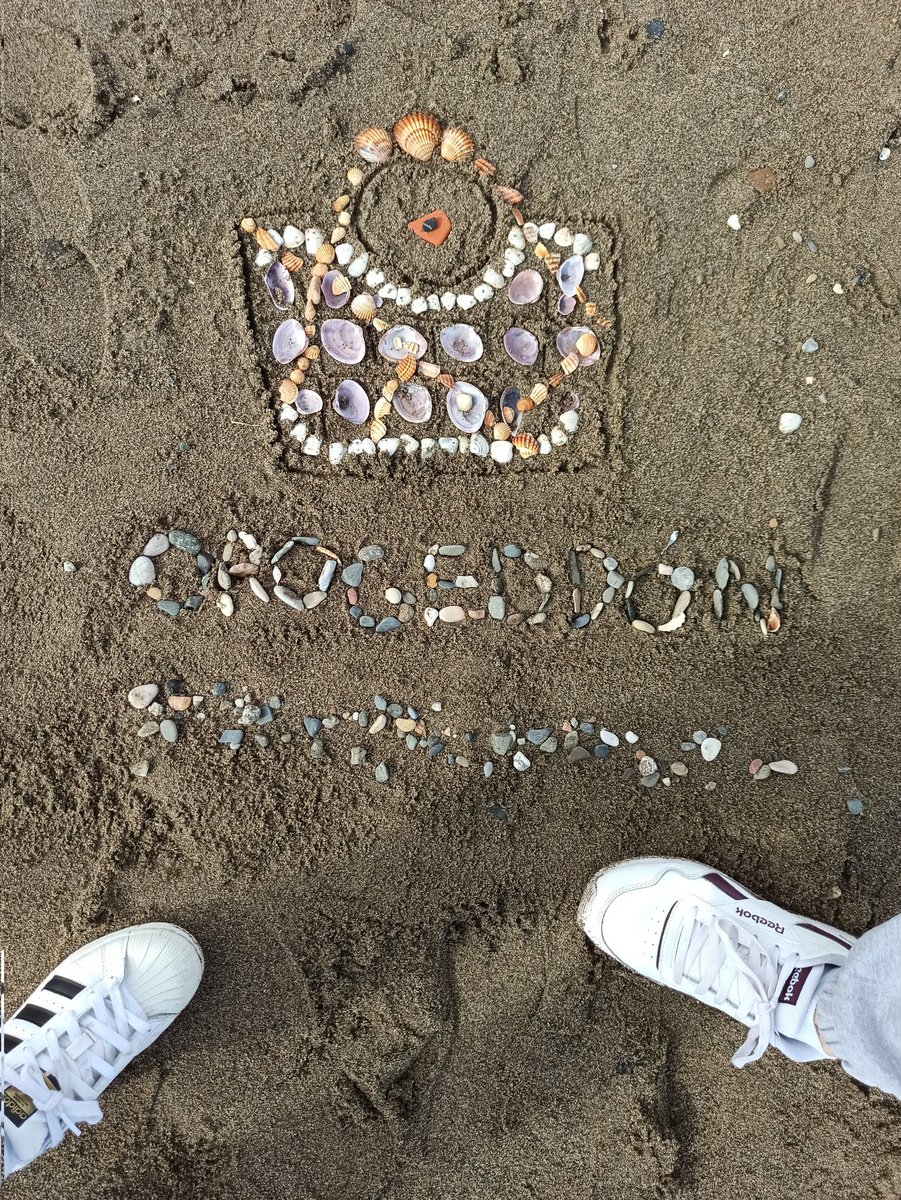 sofipawa11's tweet photo. Hoy mi hermano y yo hicimos a orogeddon, la granja de @ElRichMC en la arena. No esta exacta pork no habia mucha variedad de concha xd. Espero que te guste rich :) https://t.co/46SPzXOwrW