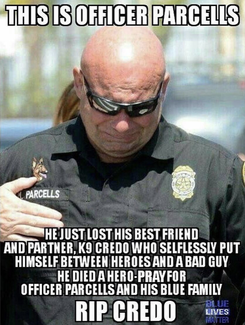 FansofLivePd's tweet image. 💙🙏 #LivePdNation please let’s say a prayer for Officer Parcells 🙏  Thank you for your service K9 Credo . Rest easy boy you are a true hero 🙏💙 
Please RT We can never have enough prayers for our LE officers who go out &amp;amp; risk their lives to keep us safe everyday! True Heroes💙