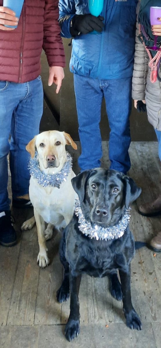 slm991's tweet photo. @VisitLochLeven was the perfect choice for the Christmas Day dog walk 🐶🐶🎄 https://t.co/njHoK4sHX4
