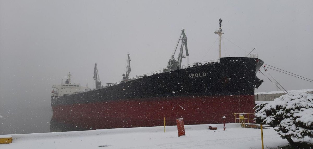 W #PortSzczecin na nabrzeżu Gliwickim trwa #rozładunek największego statku z nawozami w historii portowej spółki przeładunkowej #BulkCargo - Port Szczecin. Masowiec #Apolo przywiózł z #Oman ponad 32,2 tys. ton mocznika.