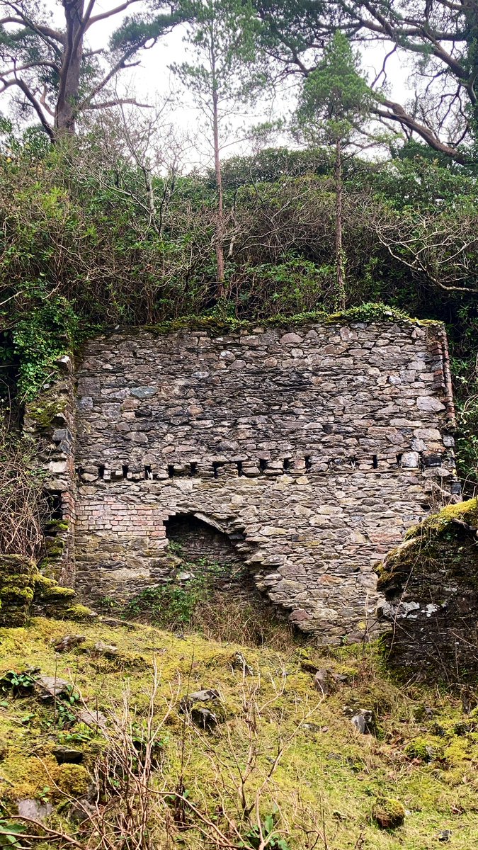 brianocofaigh's tweet photo. Glena Cottage Triptych
#glena #glenacottage #killarneynationalpark https://t.co/VyMzX7yXSF