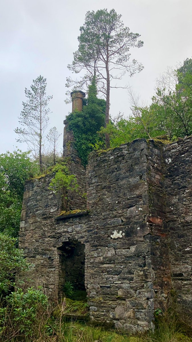 brianocofaigh's tweet photo. Glena Cottage Triptych
#glena #glenacottage #killarneynationalpark https://t.co/VyMzX7yXSF