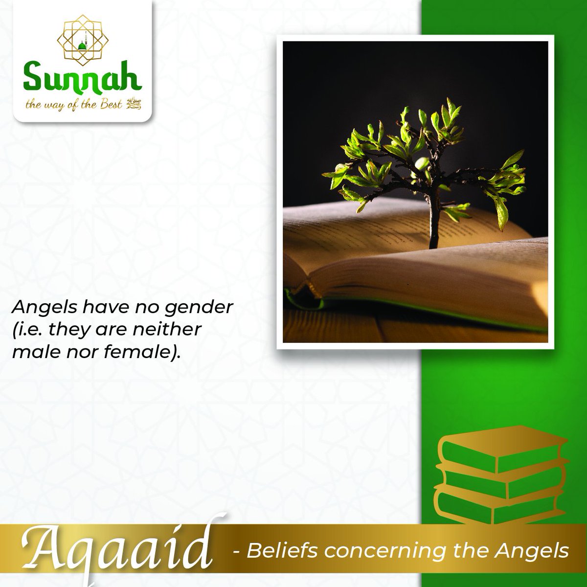 TheWayOfTheBest's tweet photo. #Angels have no gender
#Basic #Aqaaid https://t.co/pherSUjAj1