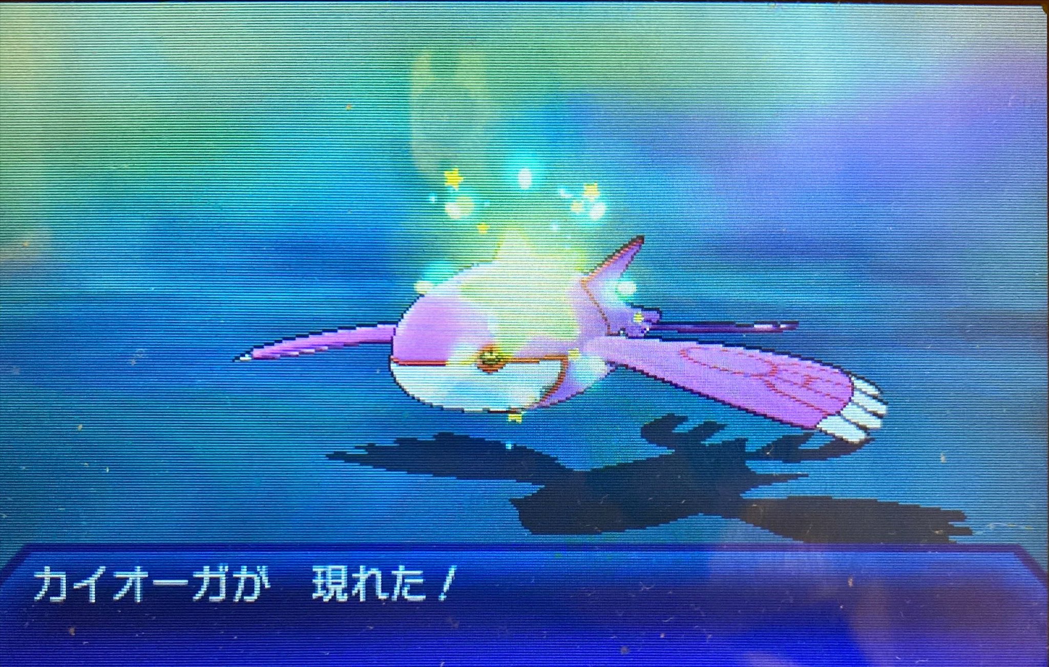 みっちぃtnアルタイル ポケ垢 2360回にて色違い臆病シンクロしたカイオーガ降臨 ꉂꉂ ꉂꉂ 個体値 30 31 30 31 30 31 30 31 24 30 31 D抜け５ｖ A低め狙いだったけど 気になるのでこのままレポートします 色違いポケモン 色