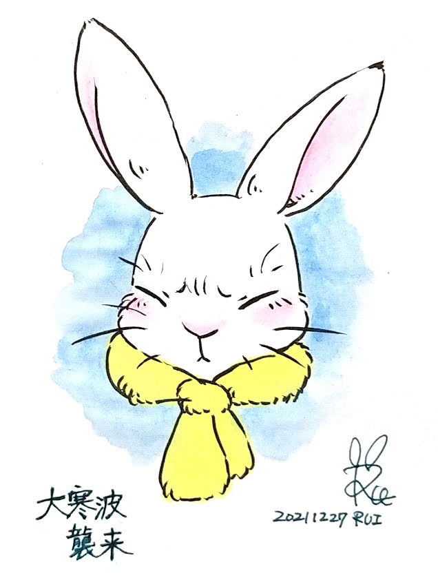 Rui Magictheater 大寒波襲来 うさぎのイラスト ウサギのイラスト うさぎの絵 うさぎイラスト ウサギイラスト ウサギ うさぎ 一日一絵 日めくりイラスト Rabbit Bunny イラスト 絵 アート Illust Art Illustration Drawing