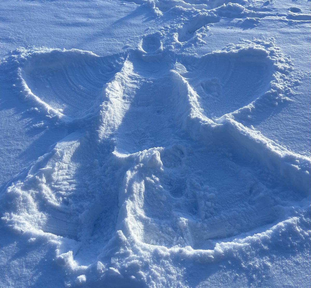 Burt412's tweet photo. Snowmen and snow angels! I hope you are all finding time to relax and enjoy the great outdoors! https://t.co/tzjkwclXAX