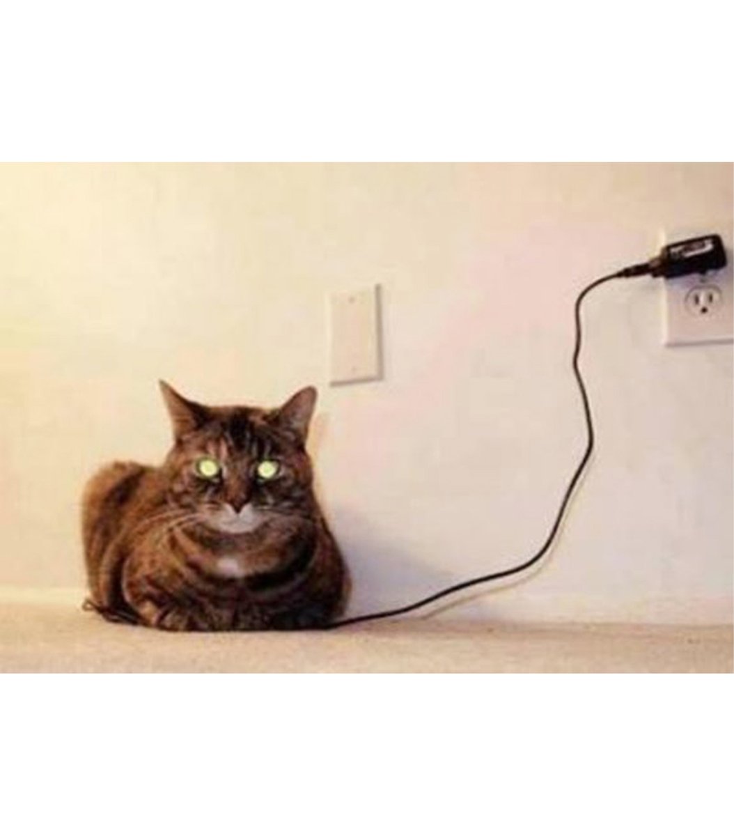 gentleeeeeeecat's tweet photo. charging complete https://t.co/x7TV2PMhvW