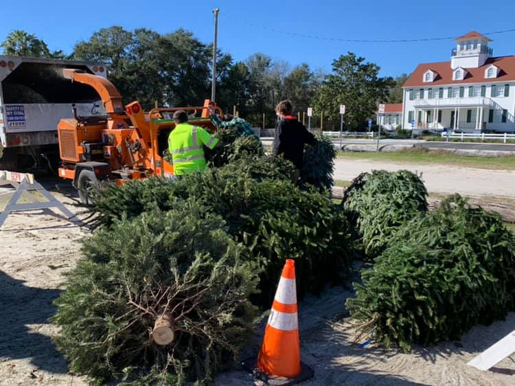 recyclesday's tweet photo. Give your real Christmas tree a second life – don’t throw it away! Many @kabtweet affiliates host tree #recycling events, often turning them into mulch. Check locally! #RecycleTrees #BeRecycled https://t.co/DVtXdw3ZyO