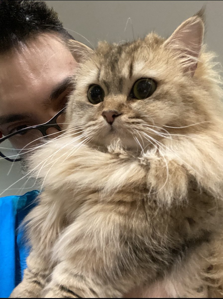 Trials on endless vale

 twitch.tv/PureChiLL