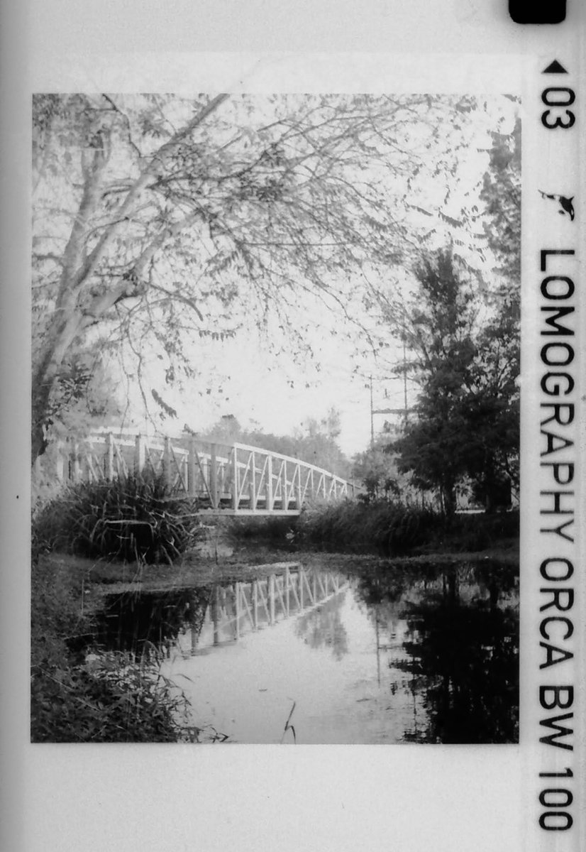 bobdehoff's tweet photo. Instamatic

You can still 110 format film for those old plastic Instamatic cameras. These were taken with a Kodak Ektralite 10 on Orca 100 I developed in Kodak HC110B. The negatives are tiny. Basically 16mm movie film. 

#believeinfilm #shootfilmbenice #instamatic https://t.co/GrjGzfp4pk