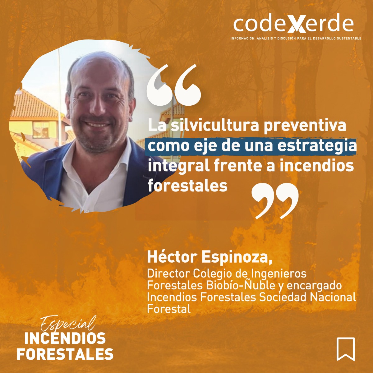 CodeXverde's tweet photo. "El mejor incendio es el que no se produce y, por ello, la silvicultura preventiva es una de las herramientas que empresas, el gobierno central y los locales tienen para reducir el riesgo de incendios forestales" https://t.co/AtGP9Wi7gu https://t.co/PkQVnzBCrm