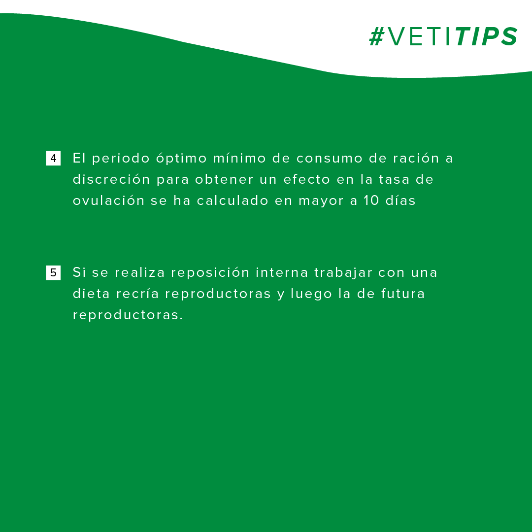 vetifarma's tweet photo. #VetiTips – Fases nutricionales en la hembra reproductora
Les compartimos un conjunto de medidas para tener una eficiente nutrición de las cachorras en la producción porcina. https://t.co/jeExIQeT7A