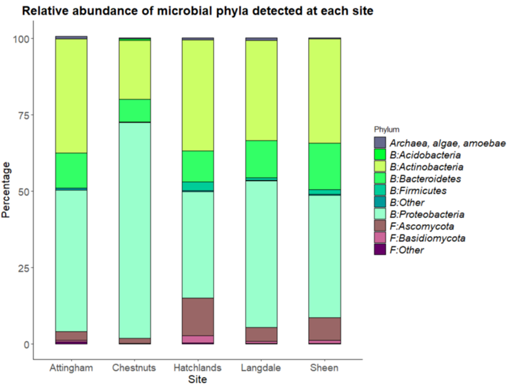 Forests_MDPI's tweet photo. 🌲#ForestsHighlyAccessedPapers
🌿Evidence for the Widespread Occurrence of #Bacteria Implicated in Acute #Oak Decline from Incidental #Genetic Sampling, ✏️written by Louise A. P. Gathercole et al. @QMUL
📖Full text👉https://t.co/9OIpFUFX9q
#Quercus #oakdecline #phyllosphere https://t.co/n8sEU9O8yh