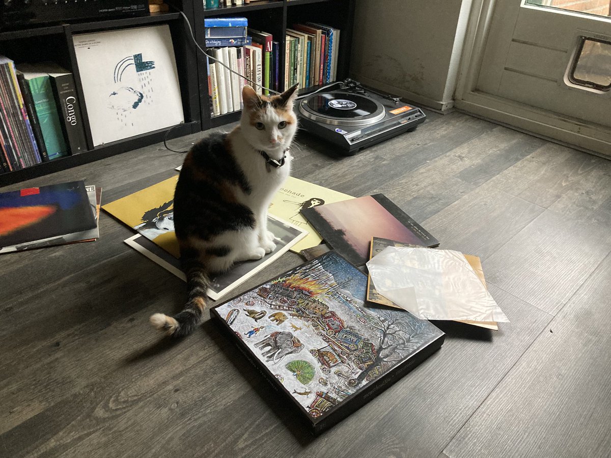 Pixel & Mono tweet media
