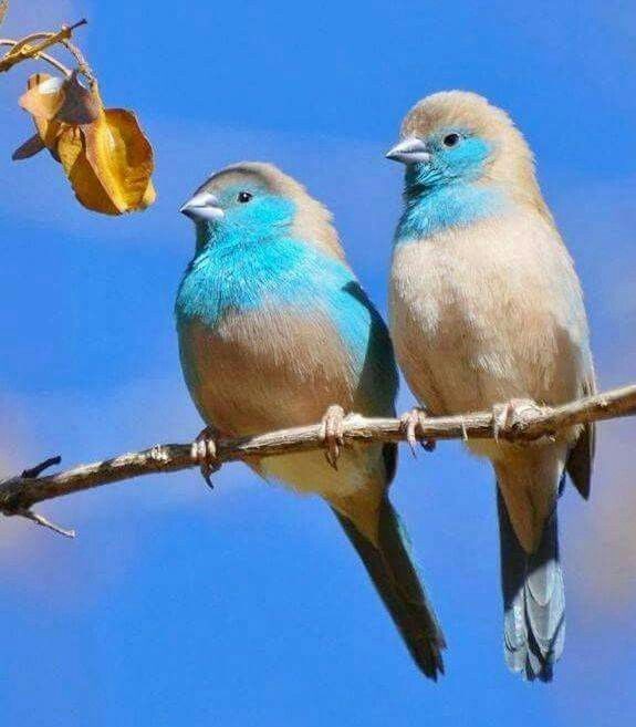 <a href="/annymorrice/">Anny Morrice</a>