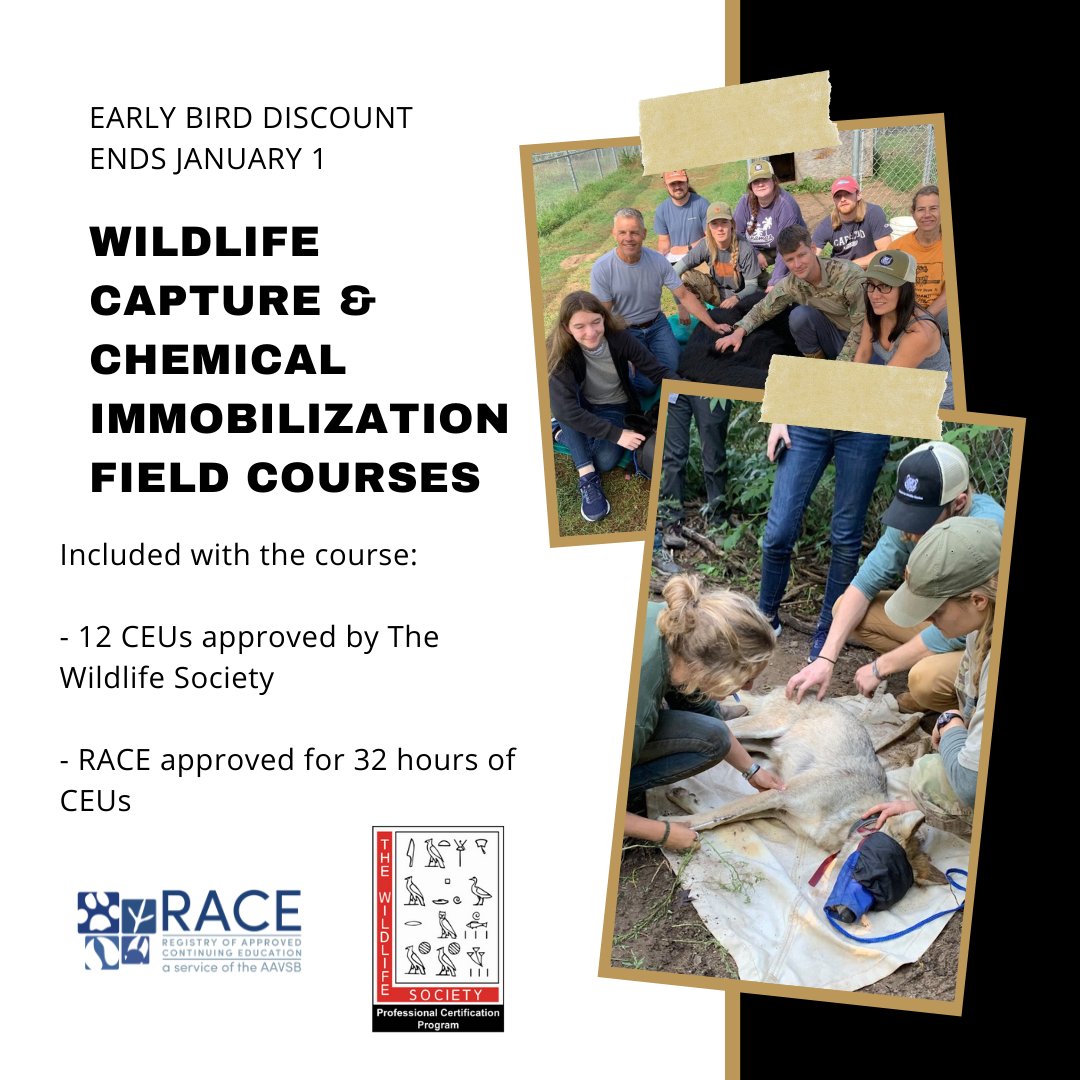 Center for Wildlife Studies tweet media