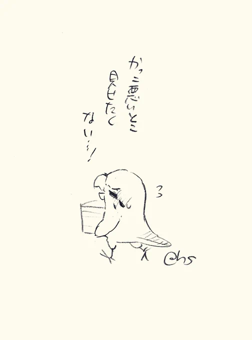 かっこ悪いとこ見せたくない...!
#1日1回恋することり 