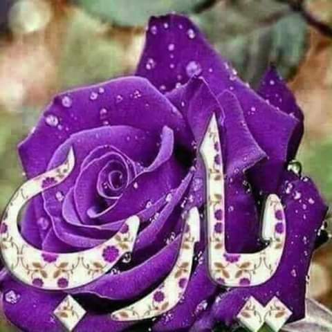 ألا يوجد شخص صادق في مشاعره😕😕😕