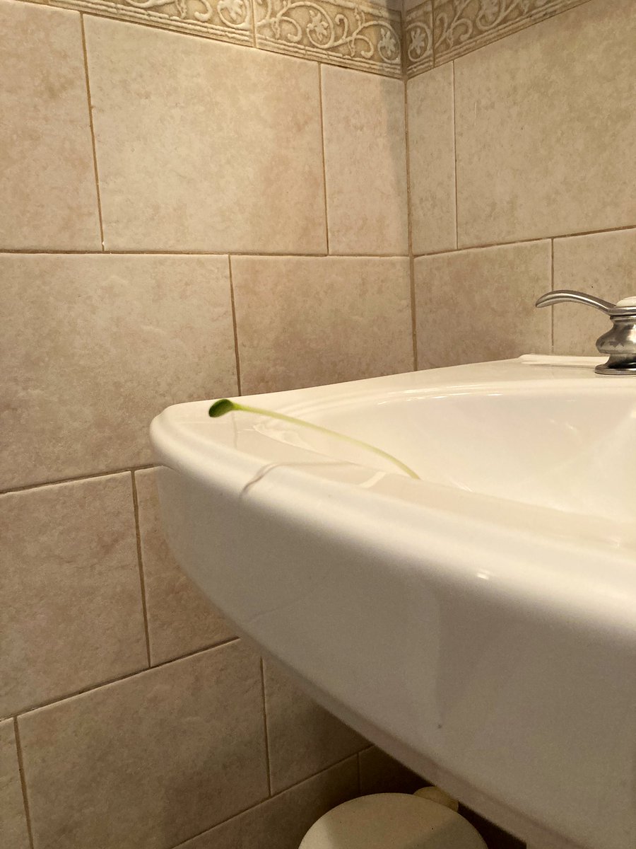 Raphael Miranda tweet media