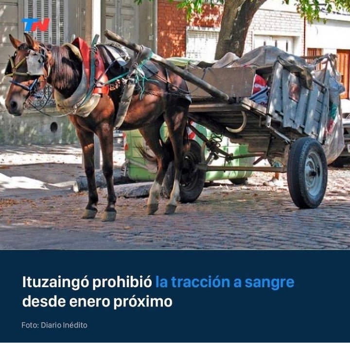 ALEXIANA777's tweet photo. #Bravoooooo 👏👏👏👏👏👏😃😃👇😃😃😃😃😃😂👇👇👇👇👇👏👏👏👏👏👏👏👏👏💪💪💪💪💪💪💪💪💪 https://t.co/w8c9hasjdD