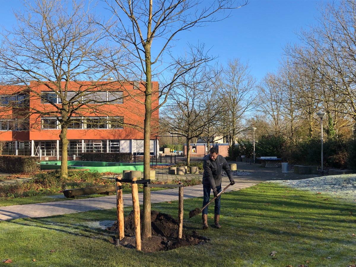 BarneveldInfo's tweet photo. Het Johannes Fontanus College heeft  een nieuw, prachtig #groenschoolplein! Leerlingen van het Technasium hebben samen met de Briellaerd het ontwerp gemaakt. Met het planten van een honingboom door Jan van Maanen van de Briellaerd is het schoolplein geopend. 
#groeneschoolpleinen https://t.co/2CEi01sOGc