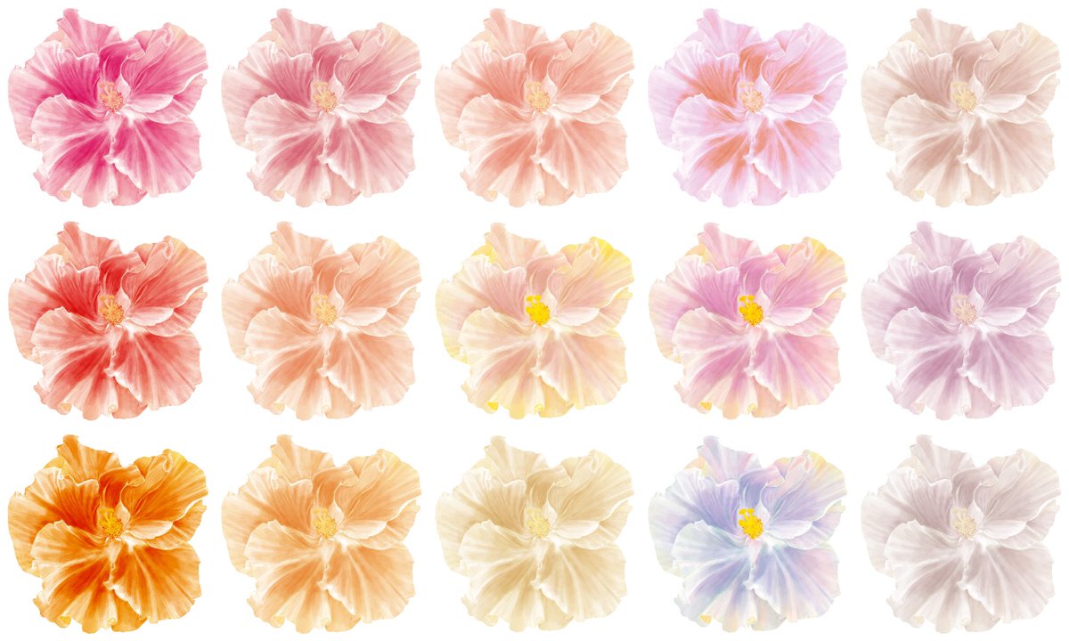 AlohadeMele's tweet photo. Fun little #nftart drop coming soon! “Flower Bombz” is based off of variations of handrawn digital flowers. https://t.co/KszkDDSsbk