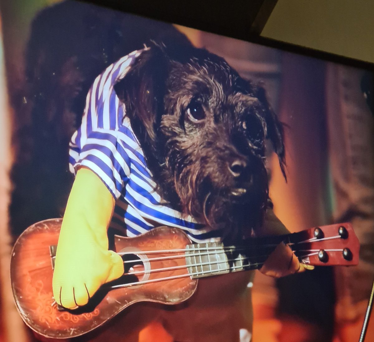 oldham_alison's tweet photo. @RealBobMortimer  best Christmas TV moment!! We love Ted xx https://t.co/6zz7OuFBsA