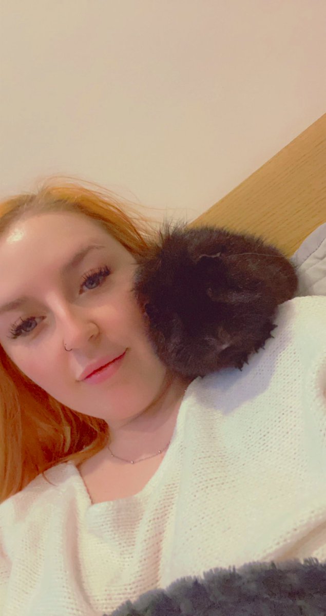 kayedykes tweet media