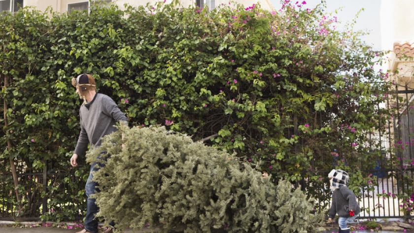 Dit jaar weer geen warme chocolademelk of glühwein en ook geen prijs. Maar u kunt wel uw kerstboom inleveren. Op 31 december van 15.00 uur en 17.00 uur kunt u terecht op het Concordiaplein!

Dorpsbelangen wenst u een fijne jaarwisseling en een gezond 2022!