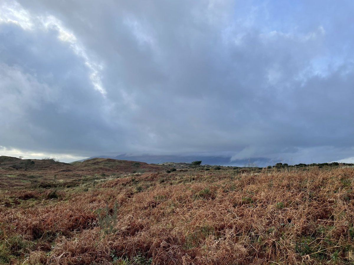 nshane1972's tweet image. It’s been a while since this happened and weather tried to stop play but we all made it to the beach today. It didn’t look so welcoming if I pointed the camera towards the Mourne Mountains