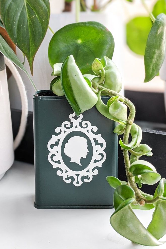 PamB32547's tweet photo. Here's a planter that makes good use of an empty can. #doityourself #crafts  https://t.co/pmoVoBslzQ https://t.co/zskfGposu6