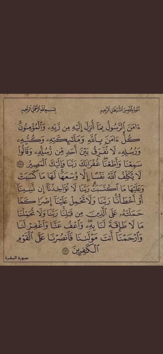 🤍 tweet media