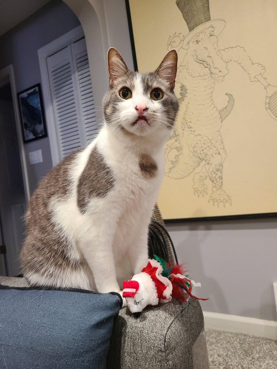 Happy holidays from Patches!!