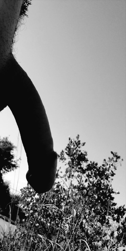 Dicky81376395's tweet photo. #nakedspiderman #nakedinnature #nudity https://t.co/ULIAngq4Ha