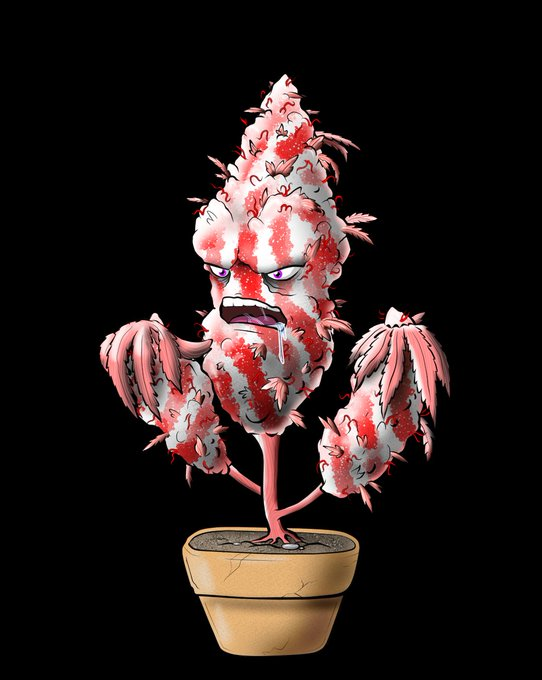 BrockOLee_NFT's tweet photo. 🚨PARTNERSHIP GIVEAWAY 🚨

✅New Collab 🚀

@OGWeedNFT X @BrockOLee_NFT 

🎁Win 1 OGWeed NFT and 1 BrockOLee_NFT🎁

1⃣ Follow 
@OGWeedNFT
 and 
@BrockOLee_NFT

2⃣ RT
3⃣Tag 3 friends
🏆Draw 29/12 at 6:00PM UTC

#NFTGiveaway #NFTs #NFT #SolanaAirdrop https://t.co/KsfqEAfcBQ