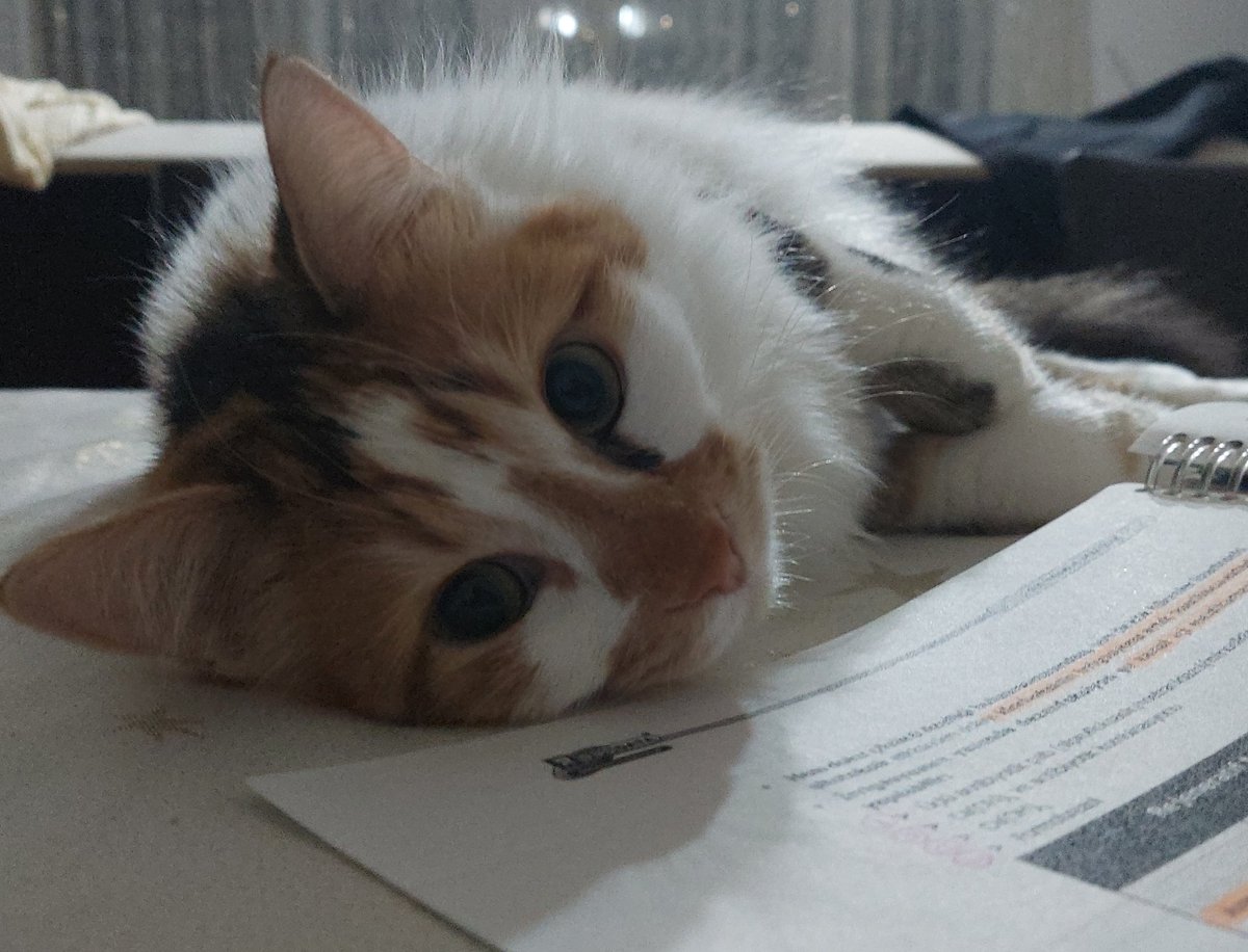 Pixelsusu's tweet photo. Bosuna calisma ztn 2 megabayt beynin vra hangi birini hatirlican gel beni sev küle https://t.co/pDuCXmypih