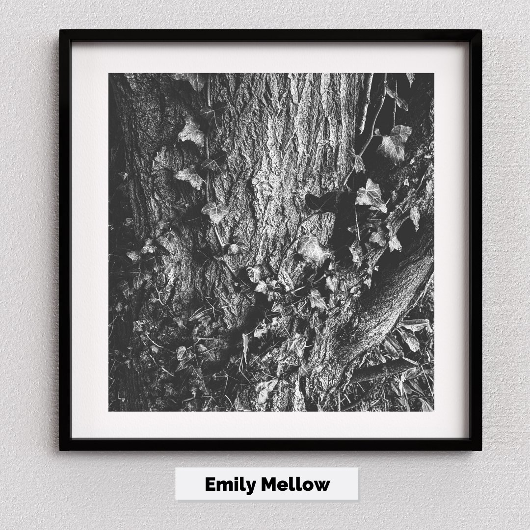 BlackpoolSixth's tweet image. 🎨 STUDENT ARTWORK - Emily Mellow 🎨