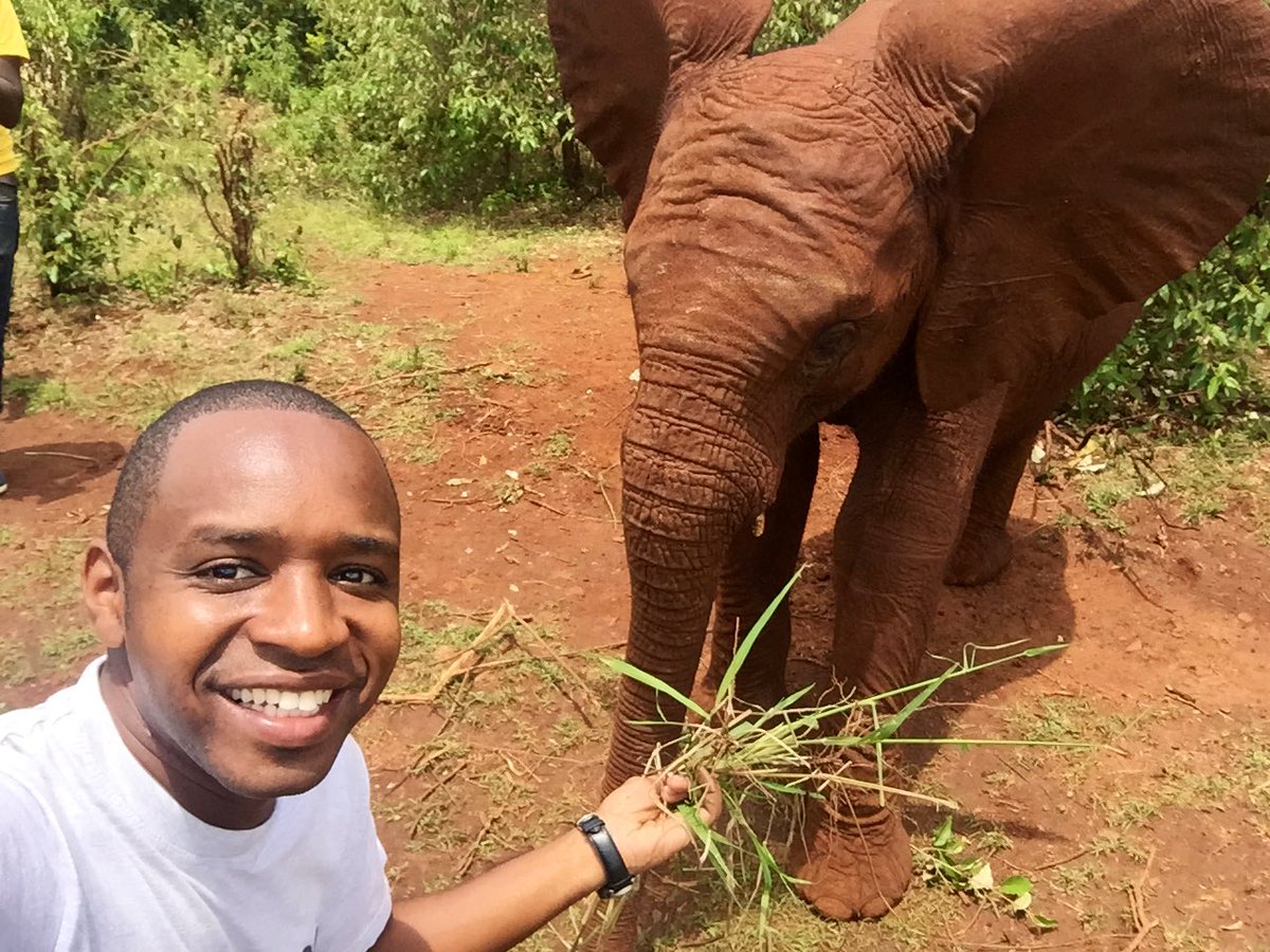 bonifacemwangi's tweet photo. In 2022 we do elephant 🐘 things. Elephant is big things. I once chased a herd of elephants on foot. True story. Read my book #BMUnBounded https://t.co/fQ0DCWO8En