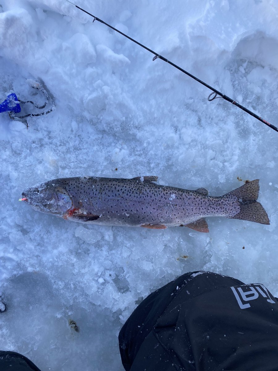 MtnWestIceFish's tweet photo. Epic Day on the Southern Utah Ice. 

#underarmour #yeti #sportsmanswarehouse #mtndew #icefishing #ionaugers 
#uglystik #jawjacker #procurebaitscents #maniaclures #marcum #bft #clam #mtnops #customjigsandspins #ratfinkee #coldnationoutdoors #icefishingnation 
#801 https://t.co/bBKcKZqjZK