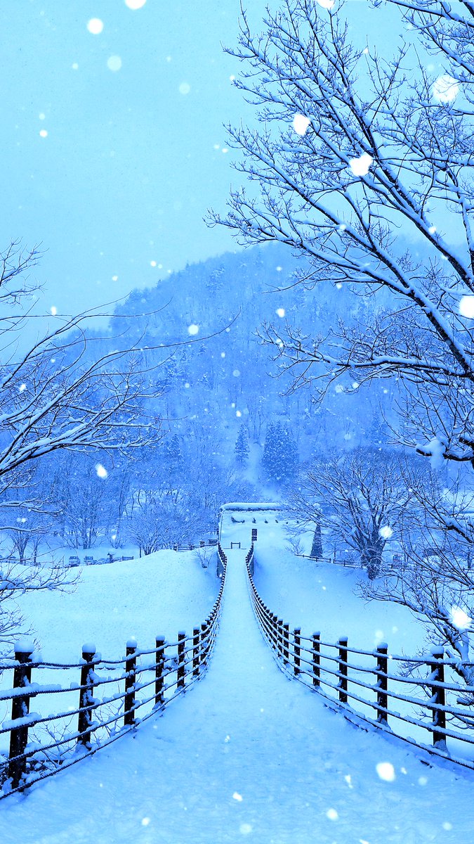 LoveSongs4Peace's tweet photo. ❄️ Snowing at winter road in Japan ❄️ https://t.co/Ryolbi65Lg