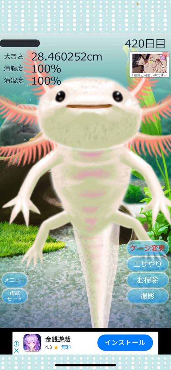 uiui1008's tweet photo. ウーパールーパー https://t.co/nHF2oxu74I