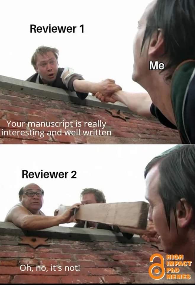 🤣🤣