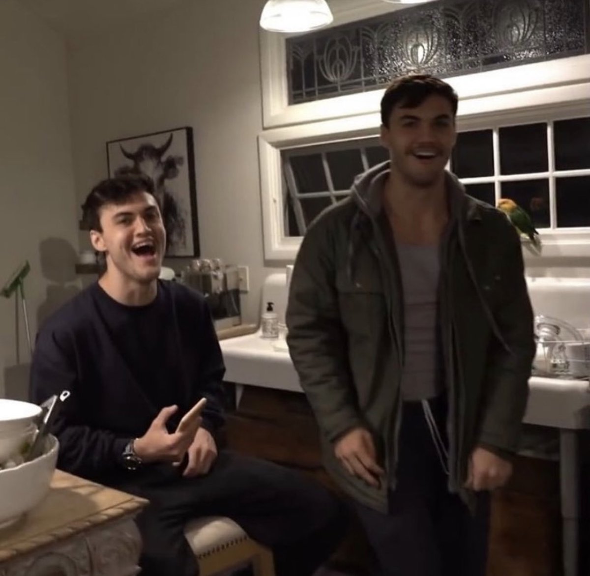 OVOGRAY's tweet photo. I hope they had a good Christmas 🙃 https://t.co/4Lc5i39BuQ