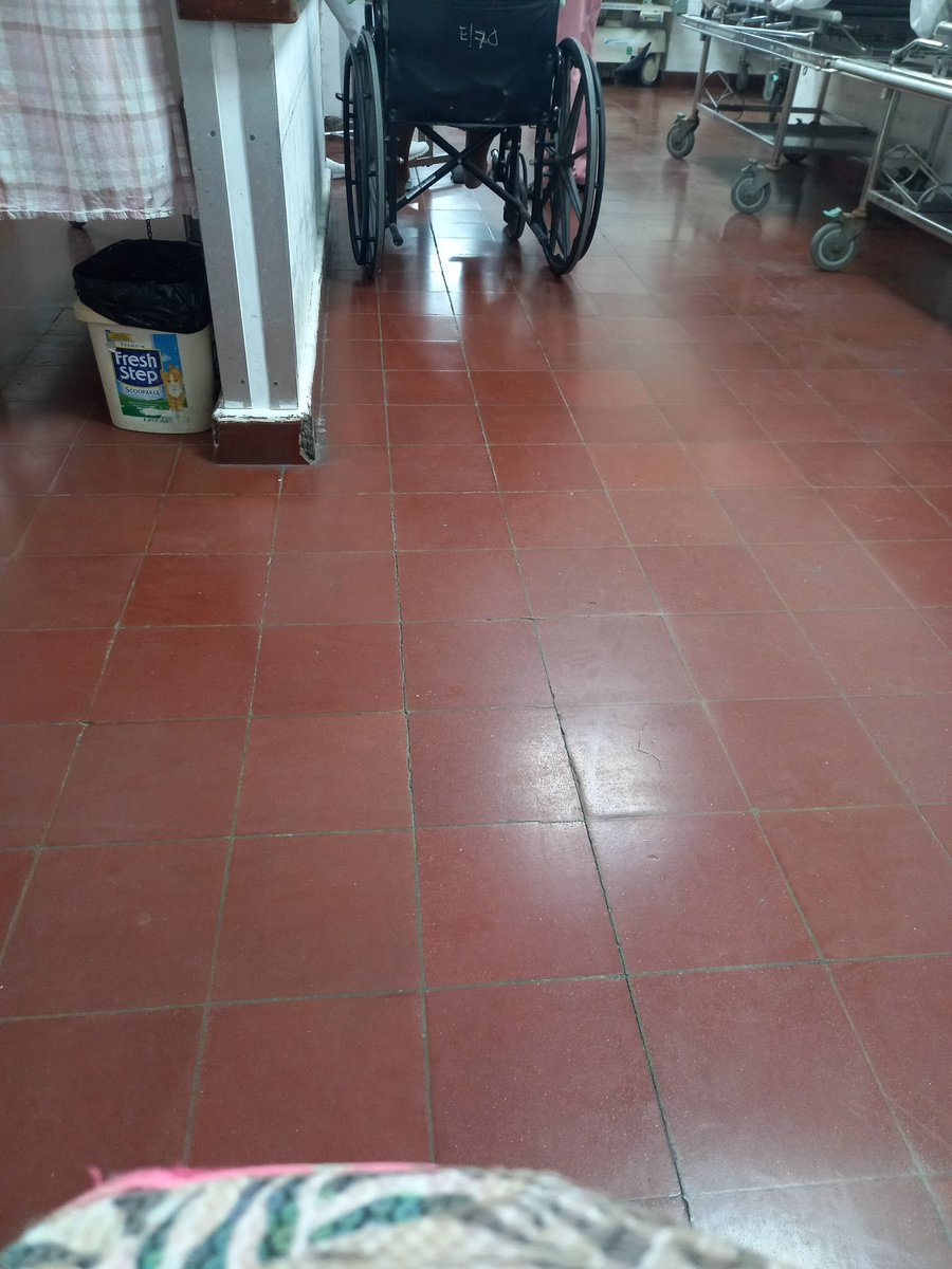 DonantesZacamil's tweet photo. Hola estoy ingresada en el Zacamil. Busco 3 donantes de sangre para mañana....

Tiene que llegar en ayunas

Pueden ayudarme a difundir por favor??? https://t.co/cKT3hfeWpF