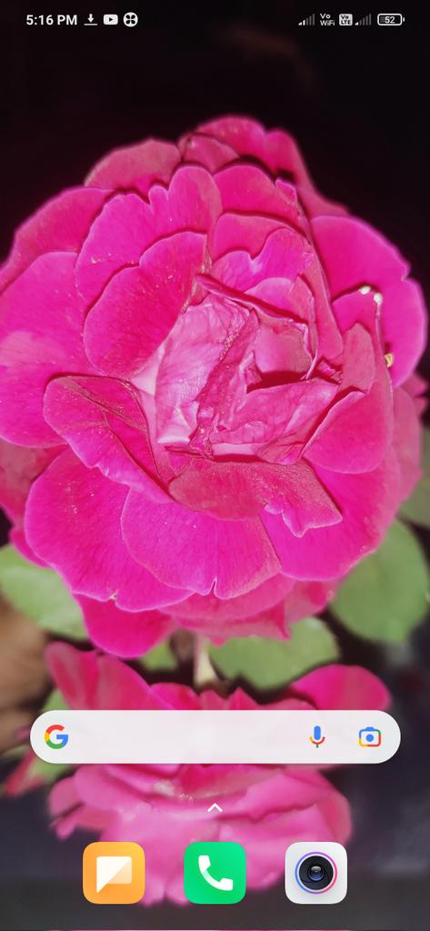KumarRa57552770's tweet photo. @imperfect_78 https://t.co/s7q6KAwoBj
