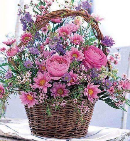 mkjainvidisha's tweet photo. @munksjain https://t.co/hDit6ePY3H