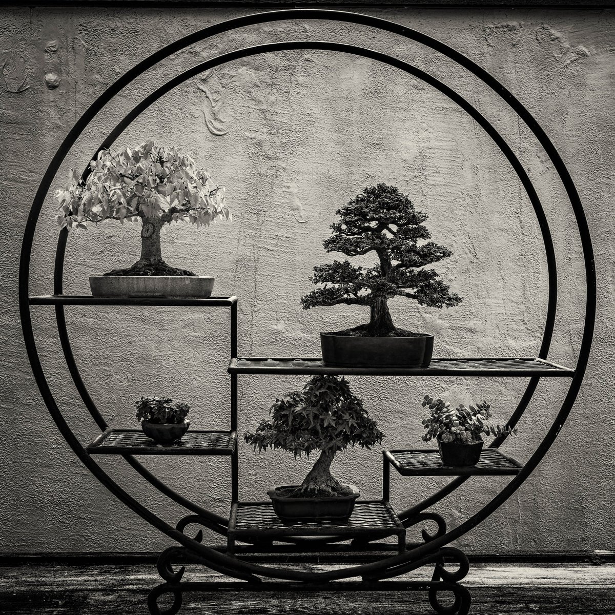 archillect's tweet photo. https://t.co/vKrRzO4GIA