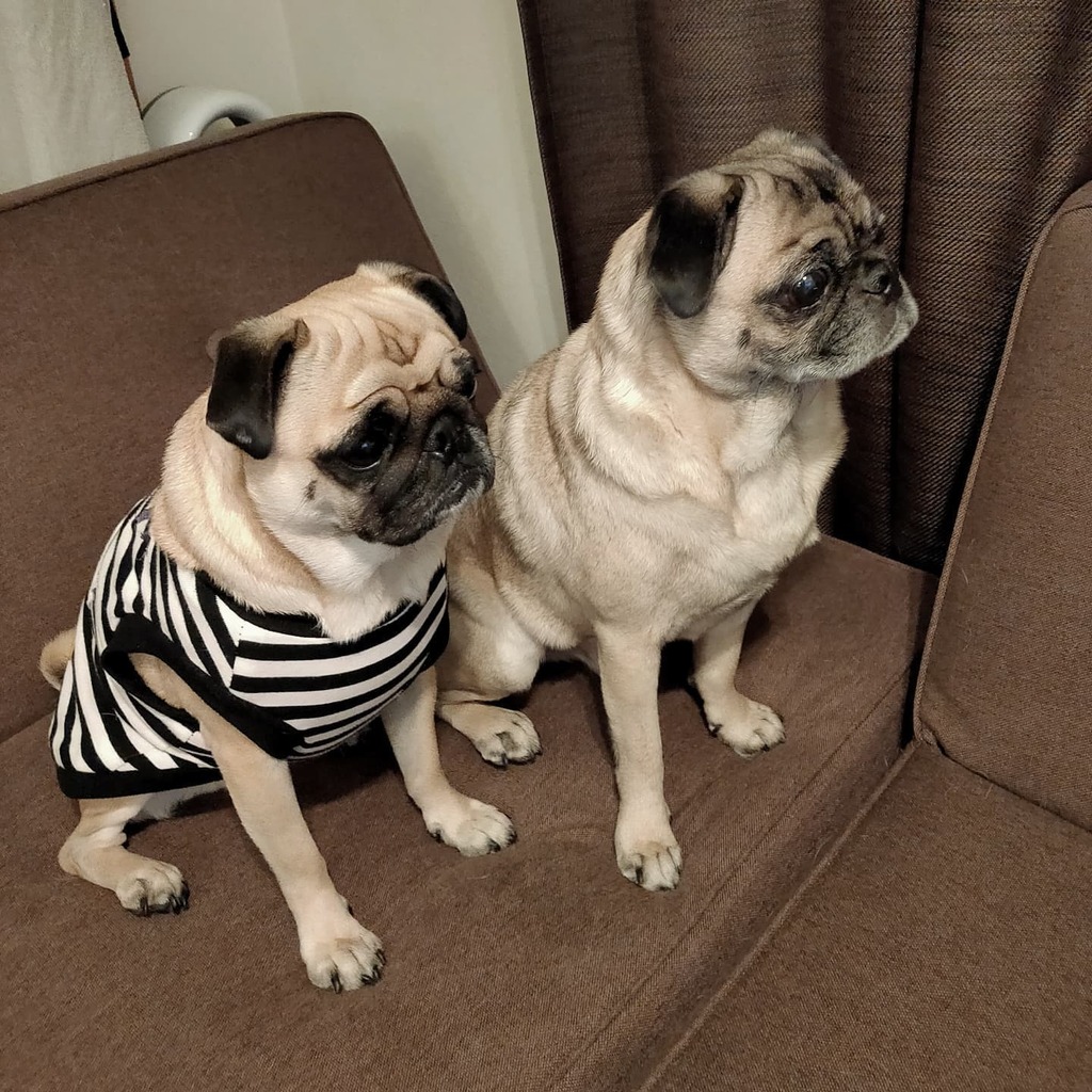 テレビを見る Twitter Search Twitter