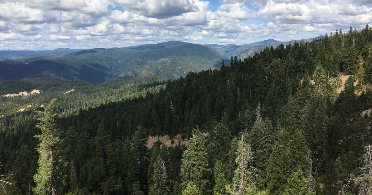 Ok! Resuming plan to post images about the time I collab'd with <a href="/Tahoe_NF/">USFS-Tahoe National Forest</a> c/o <a href="/R5Usfs/">usfs_r5</a> Public Affairs Office. 

I think this is somewhere around the #YubaPass. Correct me if I'm wrong.

#usfs #tahoenationalforest #businesstrip